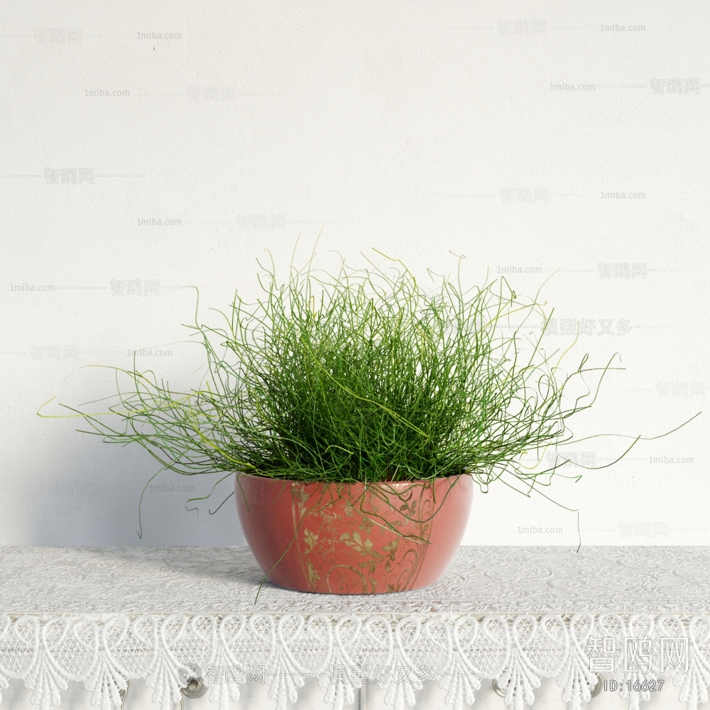 Modern Potted Green Plant