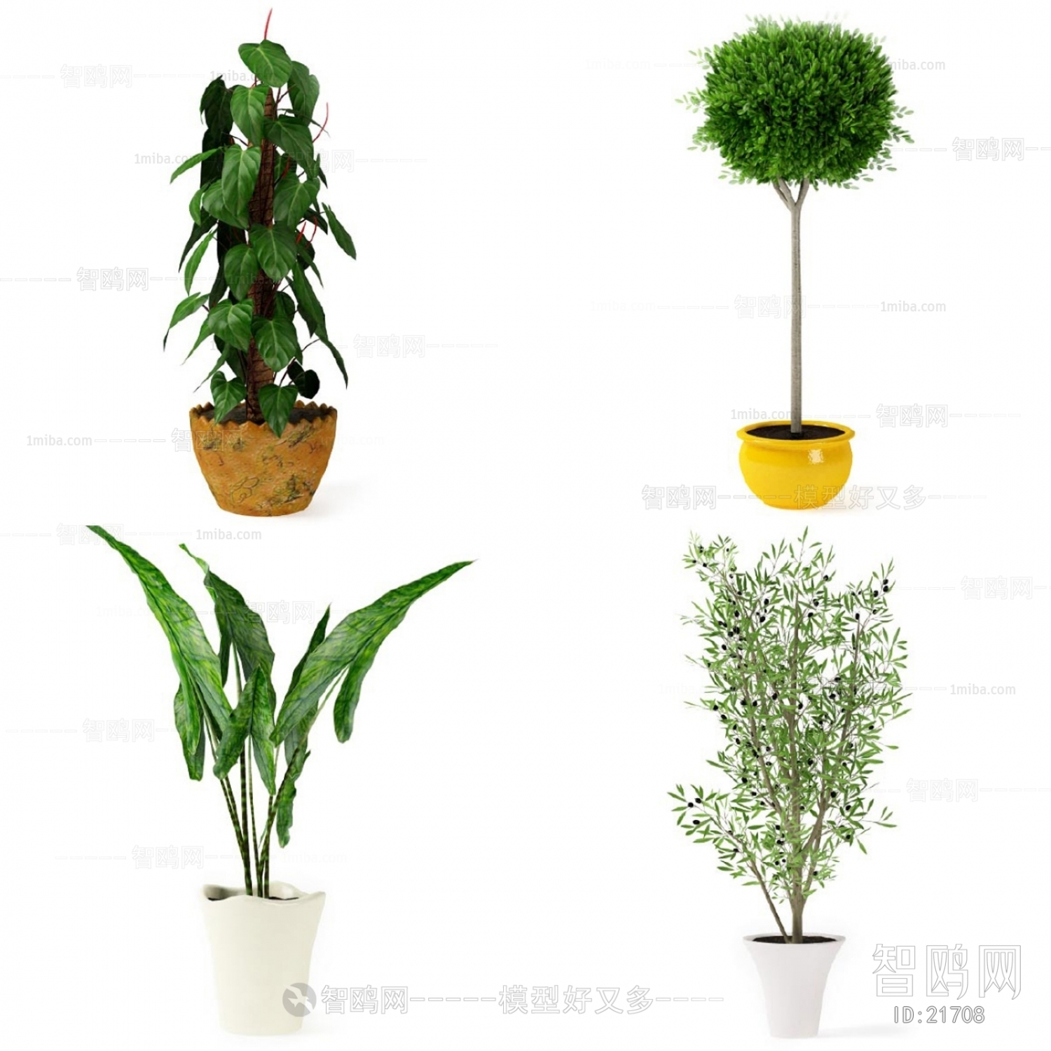 Modern Potted Green Plant