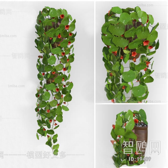 Modern Potted Green Plant