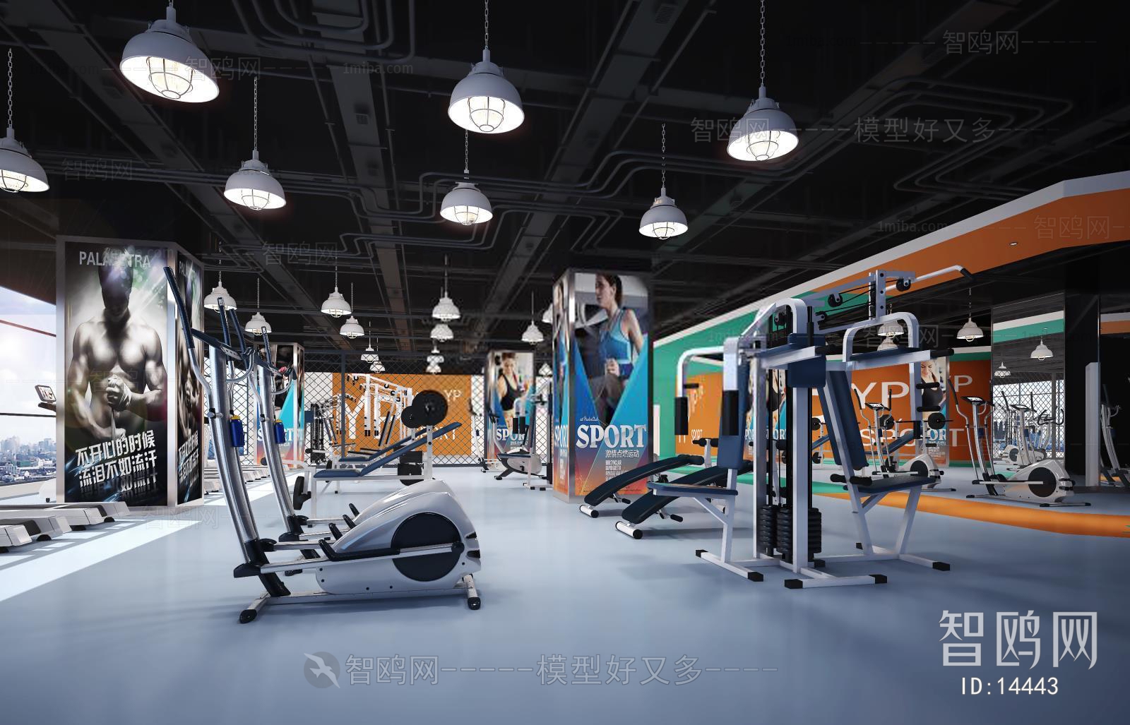 Modern Gym