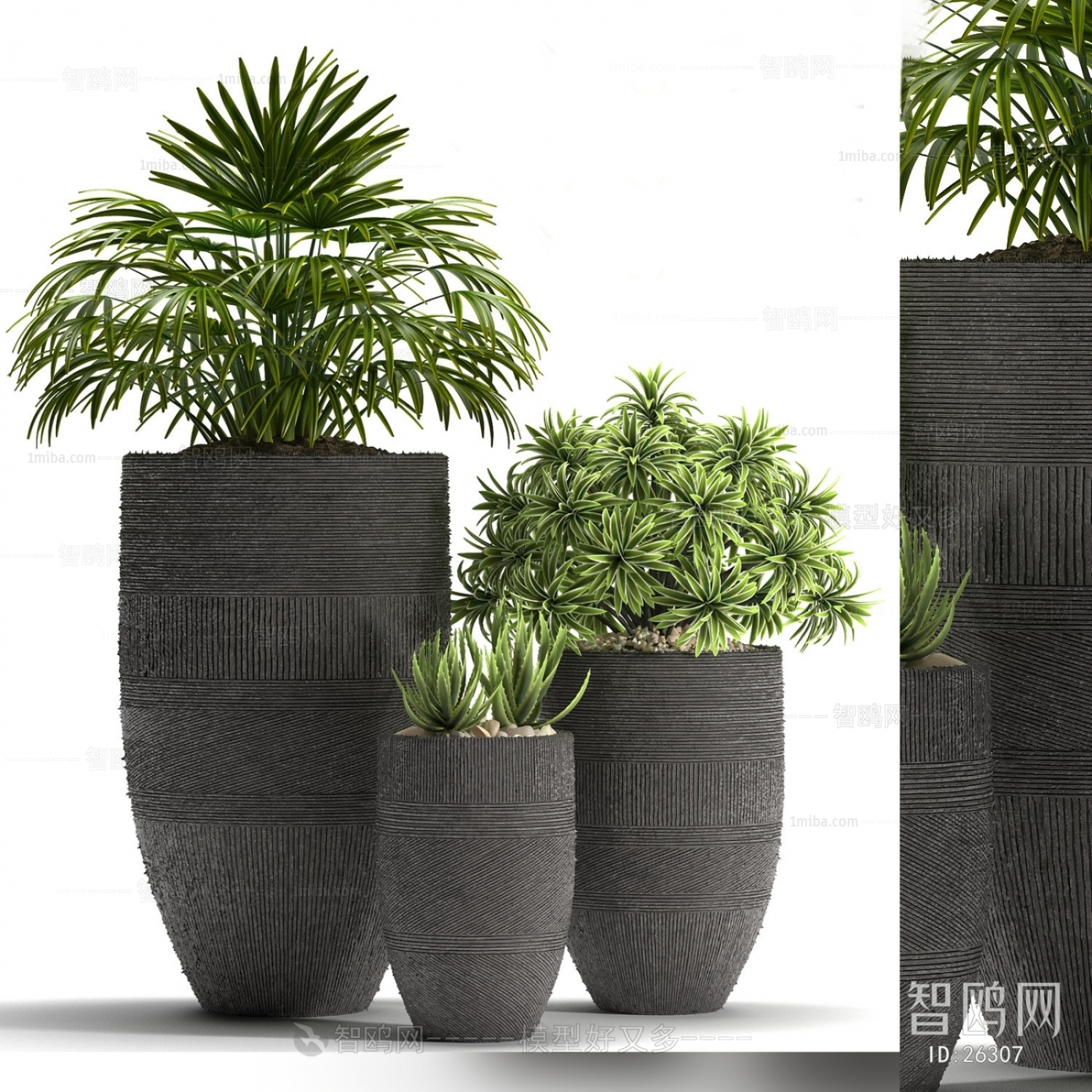 Modern Potted Green Plant