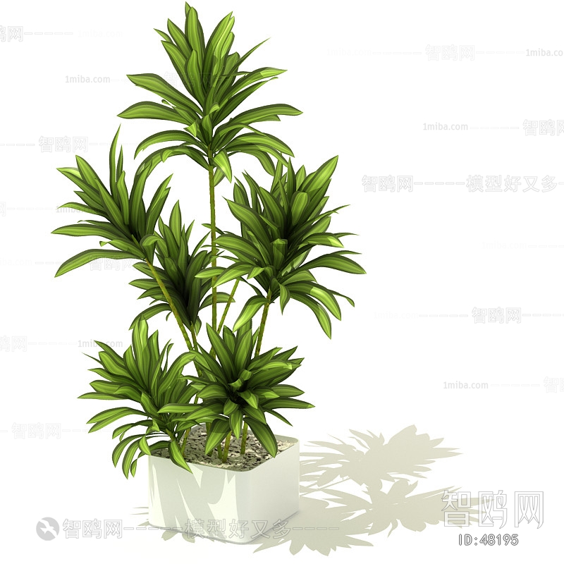 Modern Potted Green Plant