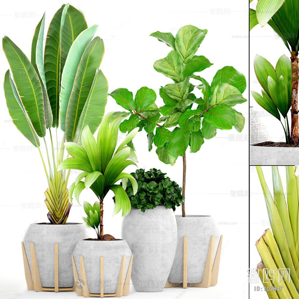 Modern Potted Green Plant