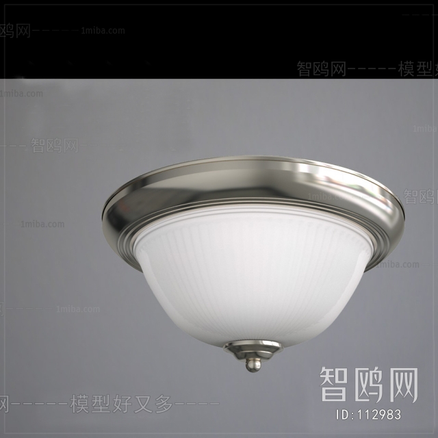 Modern Ceiling Ceiling Lamp