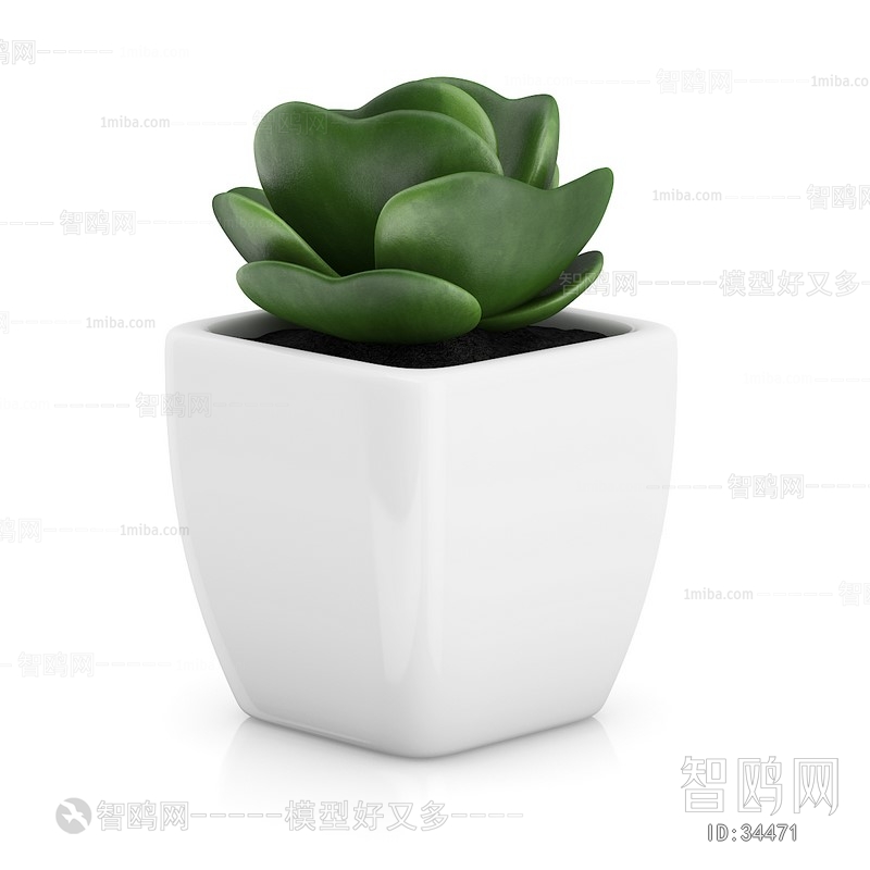 Modern Potted Green Plant