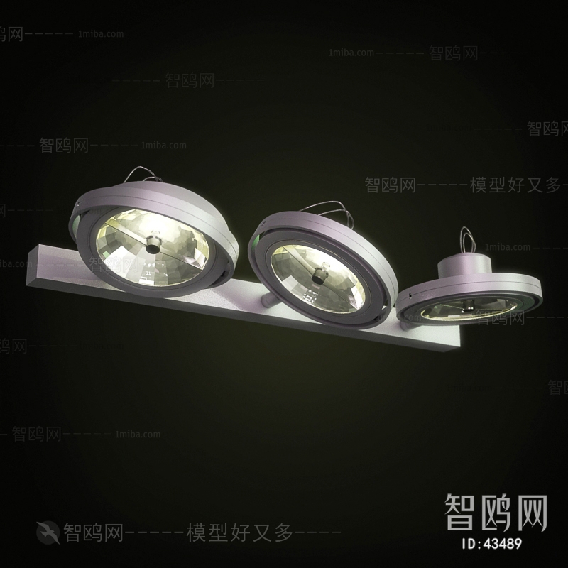 Modern Downlight Spot Light