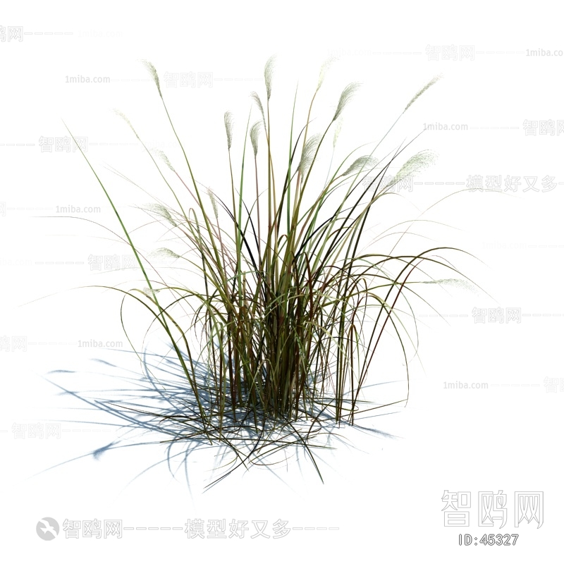 Modern Tree/shrub/grass