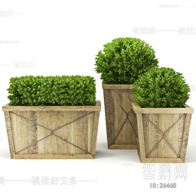 Modern Potted Green Plant