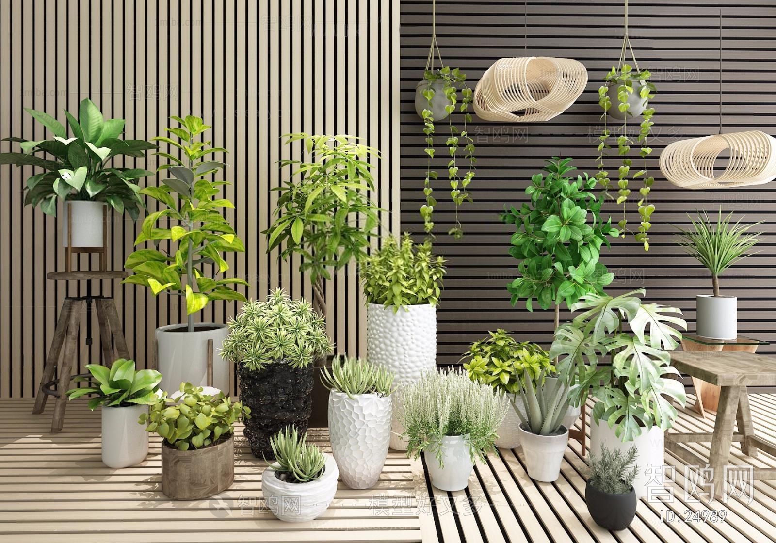 Modern Potted Green Plant