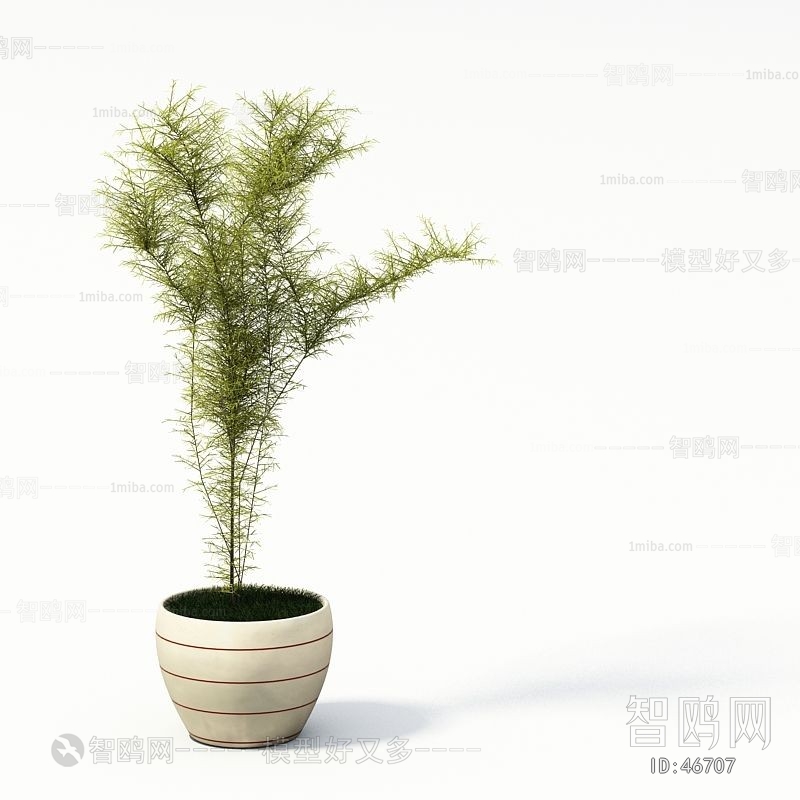 Modern Potted Green Plant