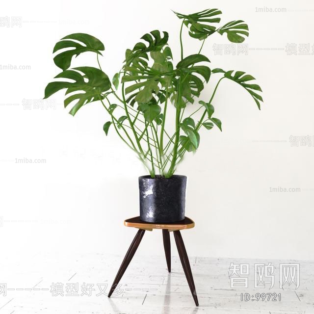 Modern Potted Green Plant