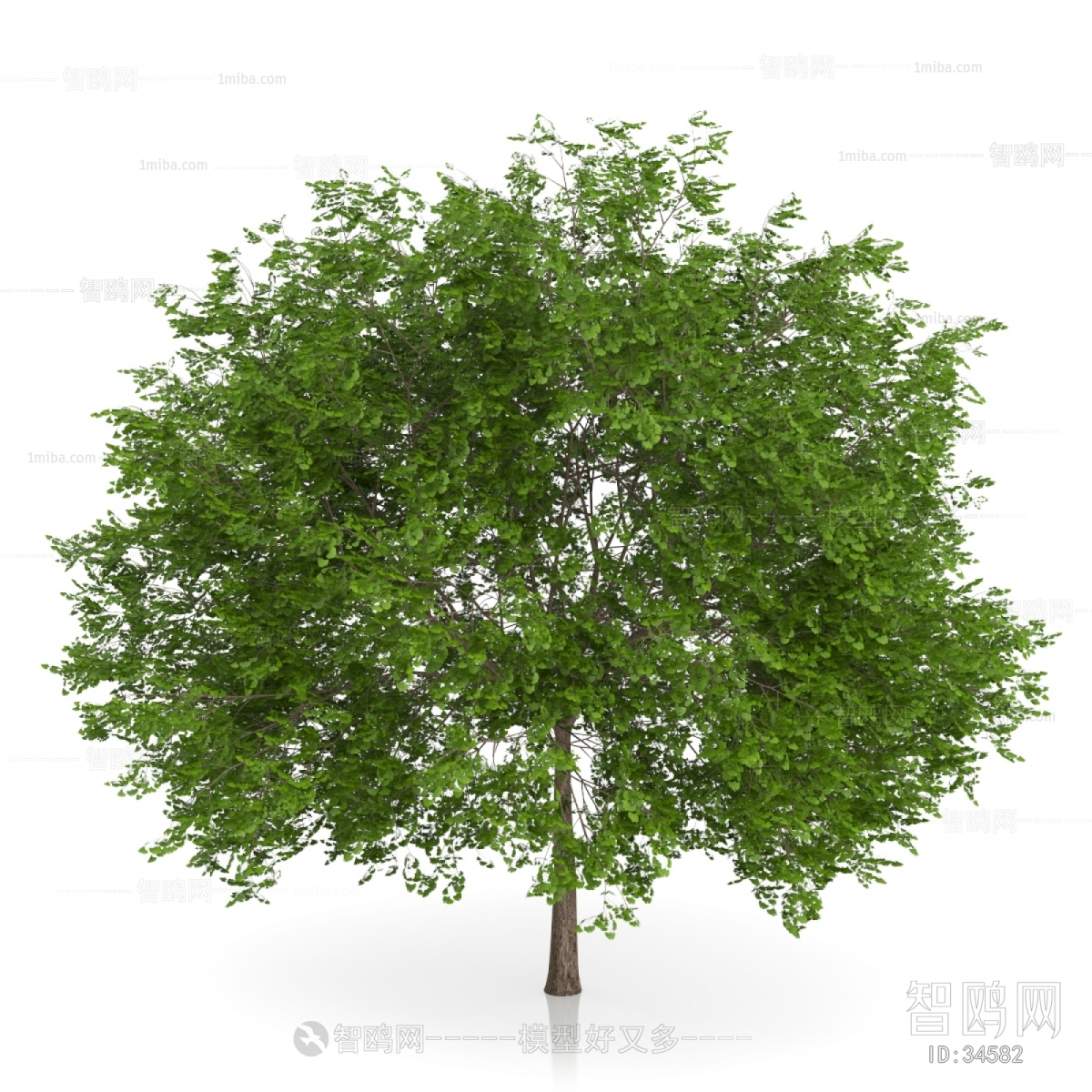 Modern Tree/shrub/grass