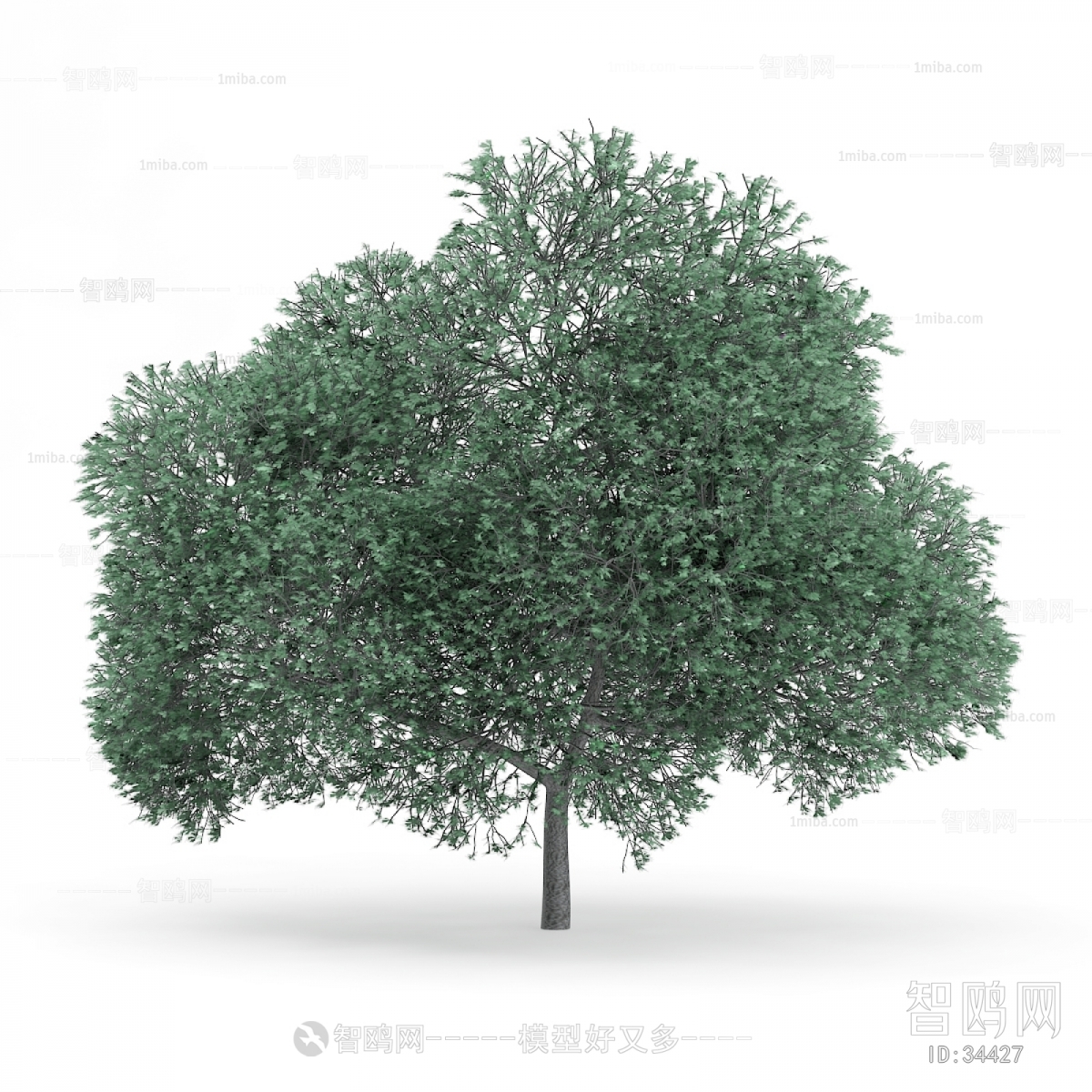 Modern Tree/shrub/grass