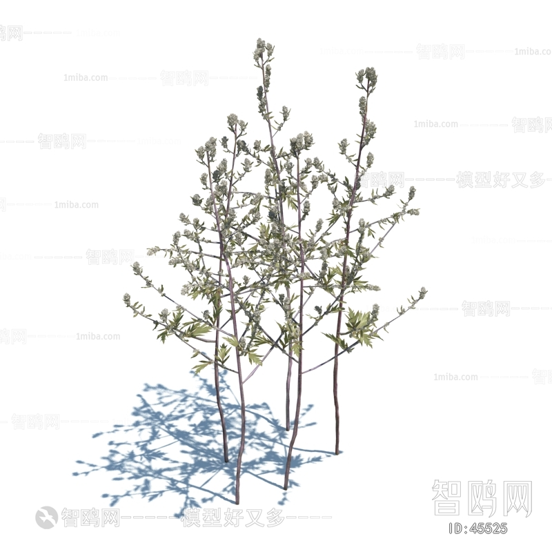 Modern Tree/shrub/grass