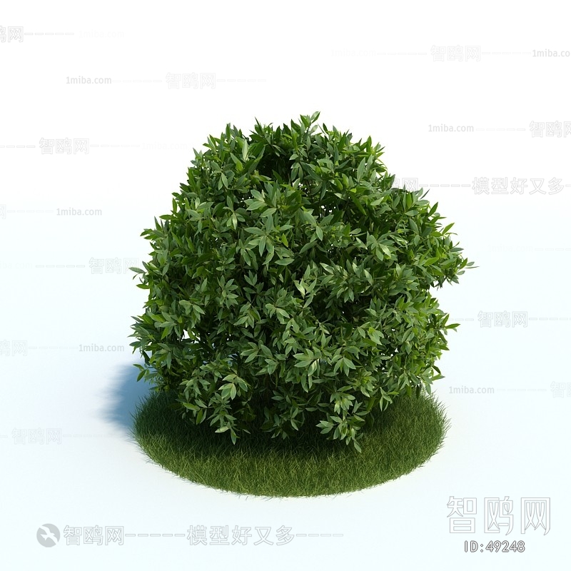 Modern Tree/shrub/grass