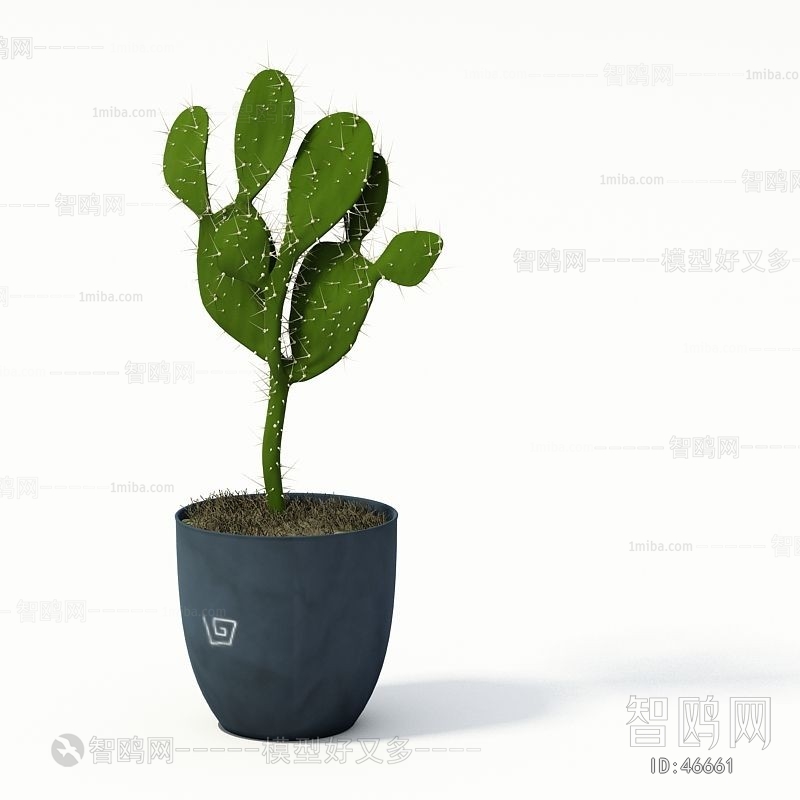 Modern Potted Green Plant