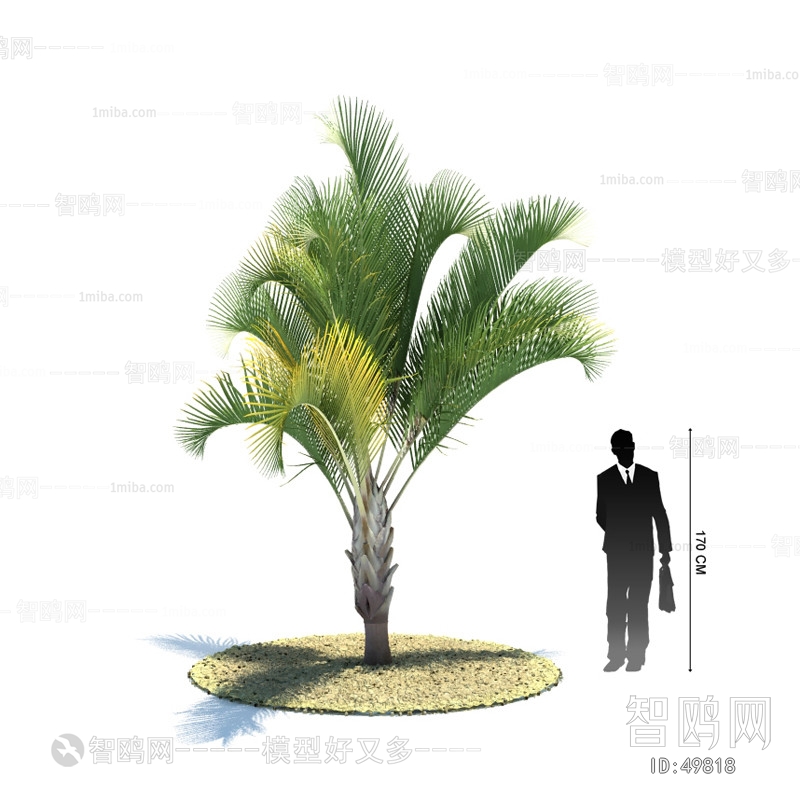 Modern Tree/shrub/grass