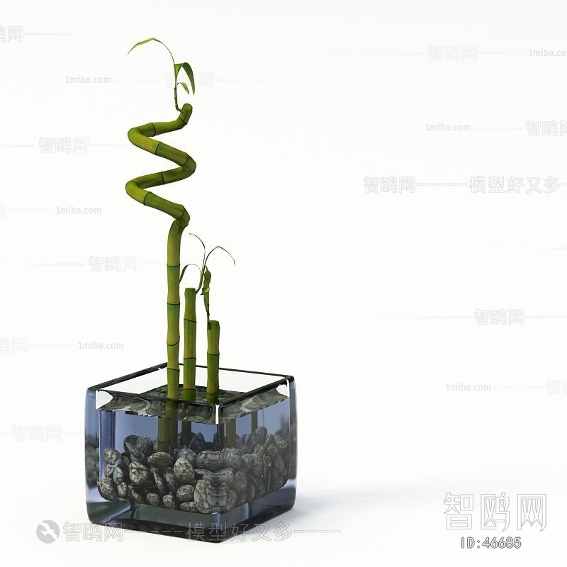 Modern Potted Green Plant