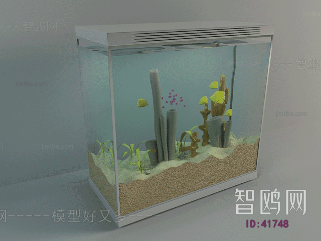 Modern Fish Tank