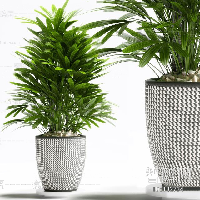 Modern Potted Green Plant