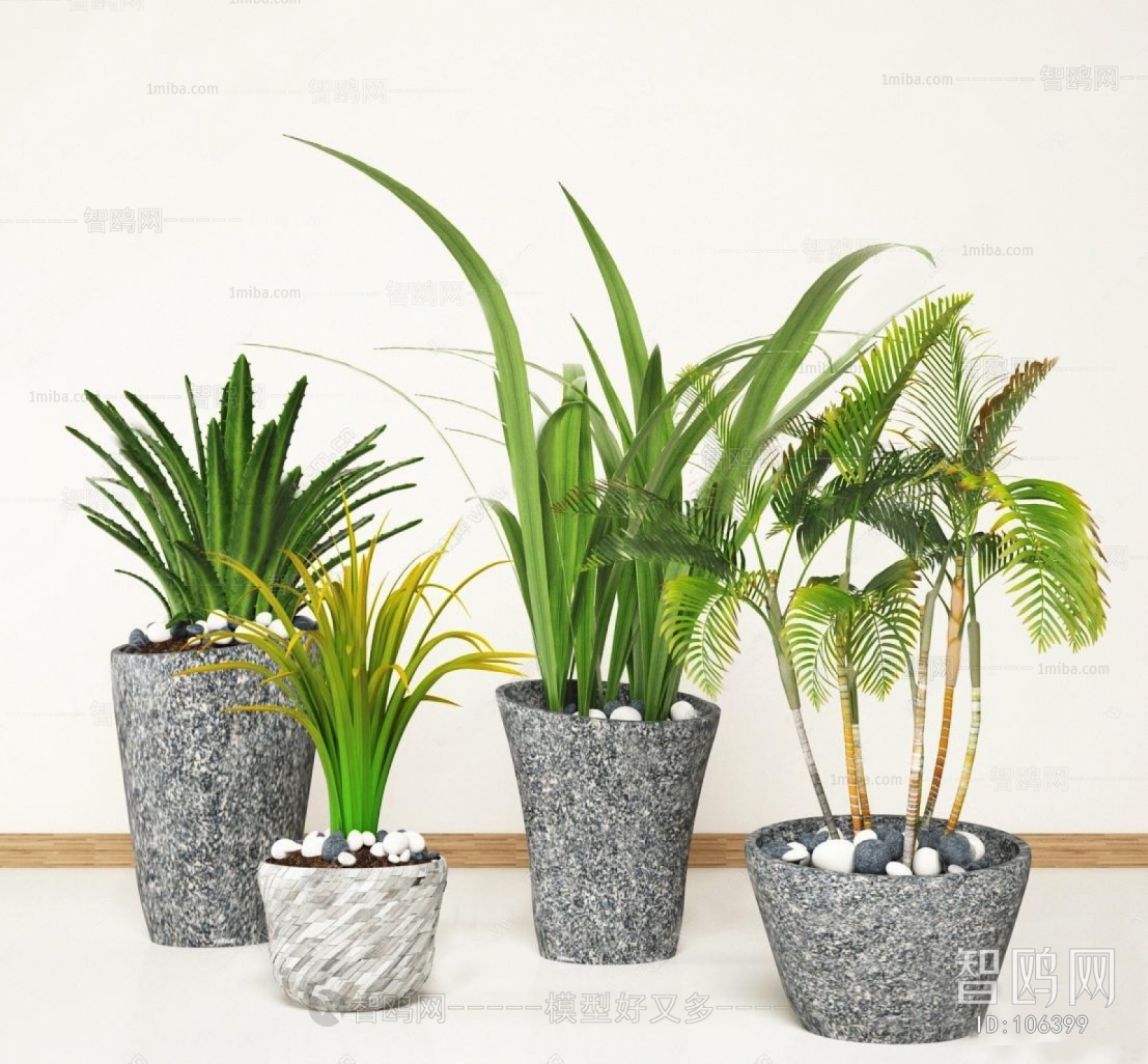 Modern Potted Green Plant