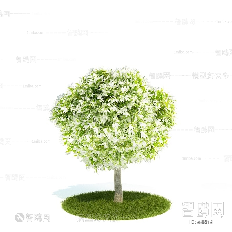Modern Tree/shrub/grass