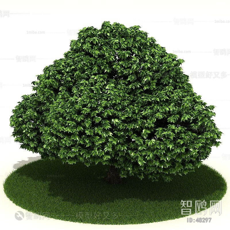 Modern Tree/shrub/grass