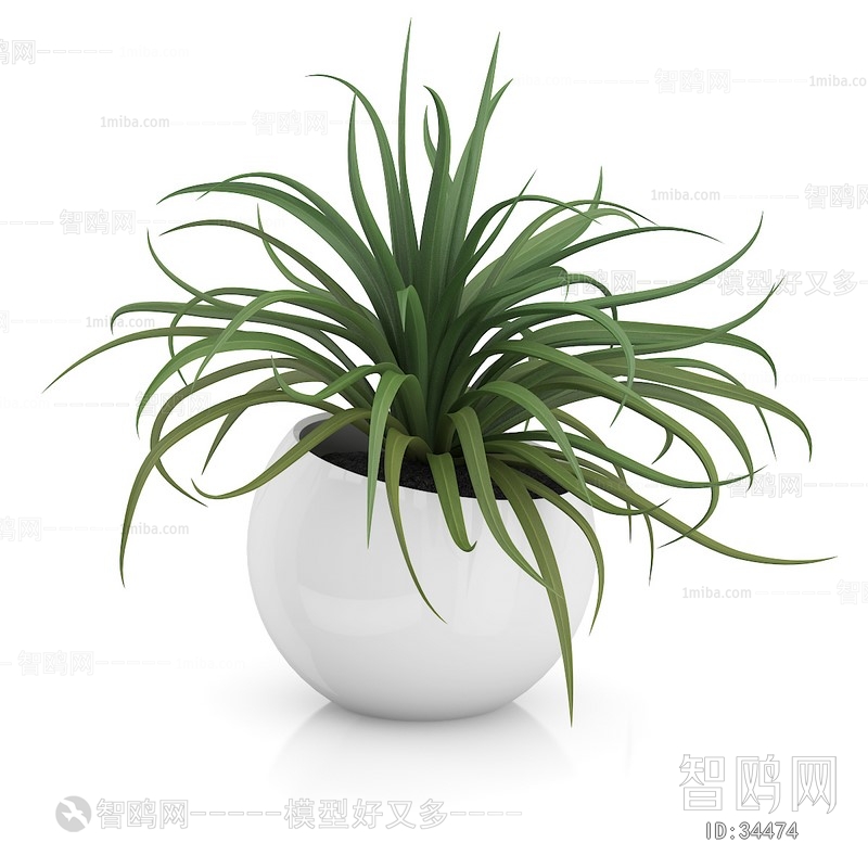 Modern Potted Green Plant