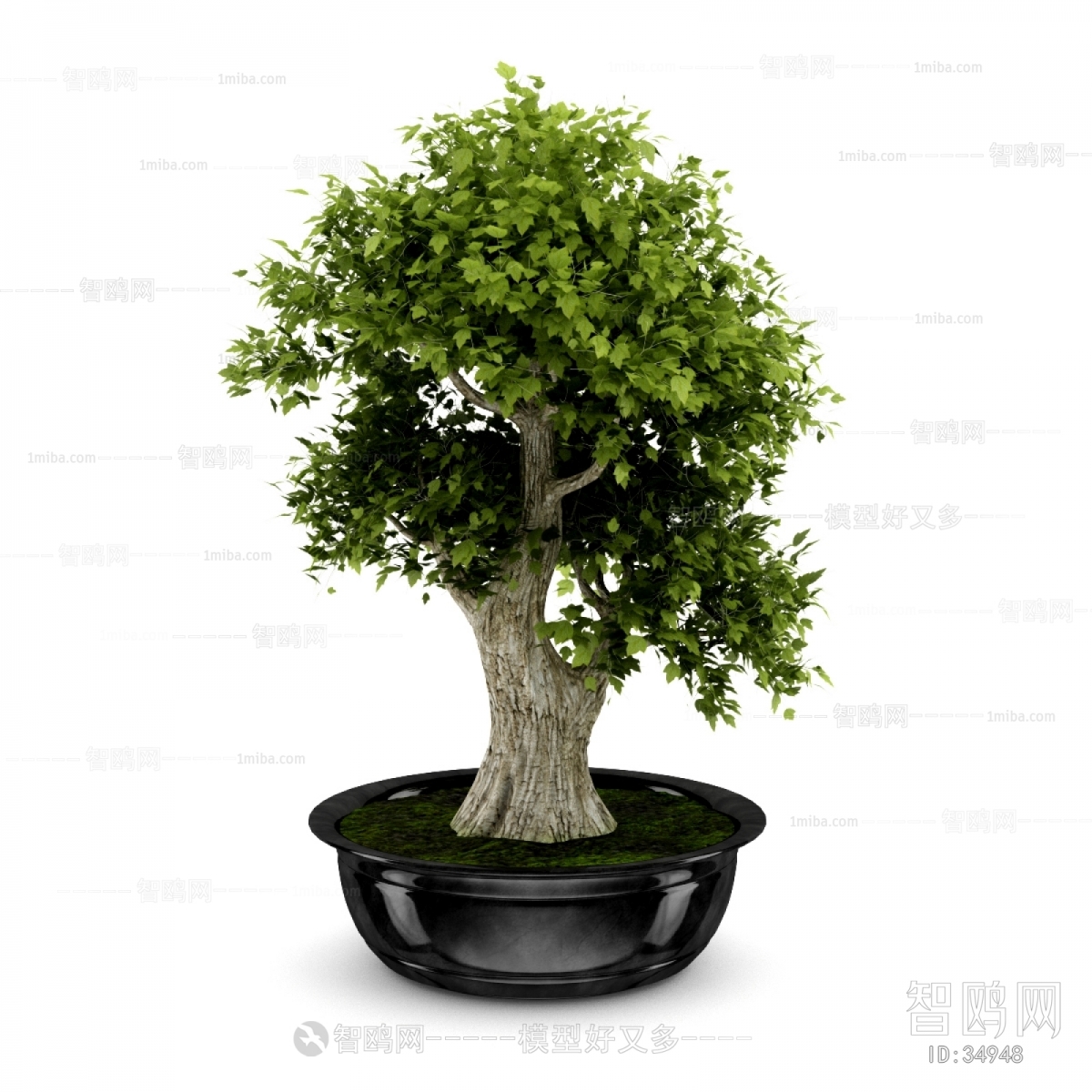 Modern Potted Green Plant