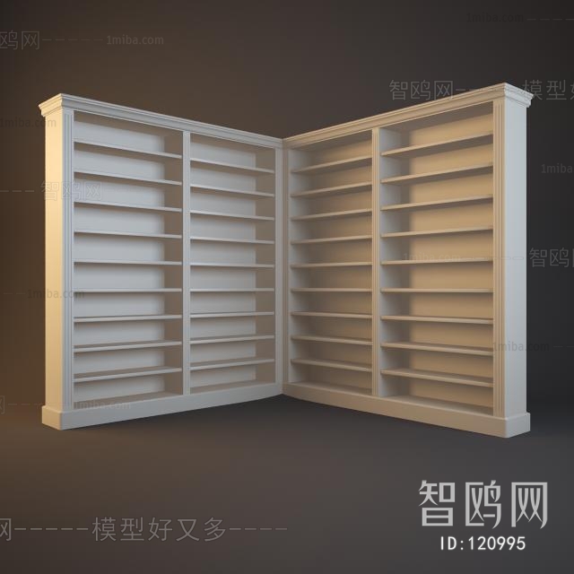 Modern Bookcase