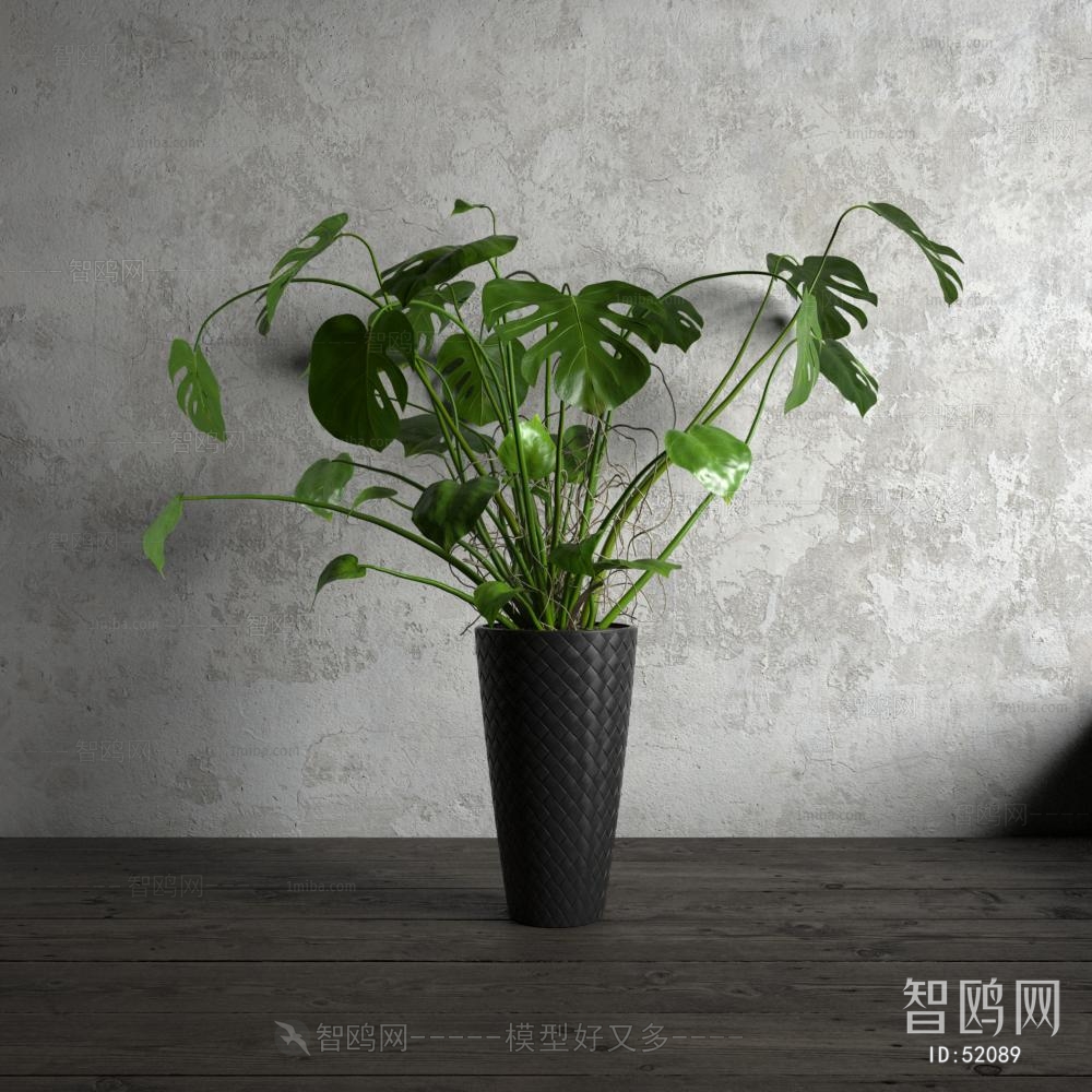 Modern Potted Green Plant