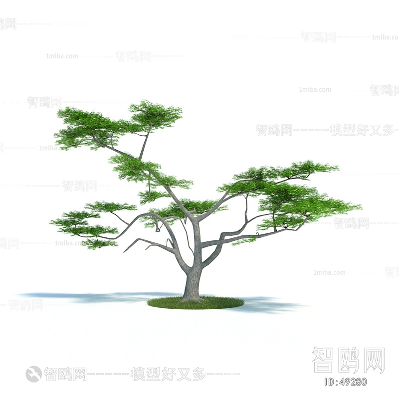 Modern Tree/shrub/grass