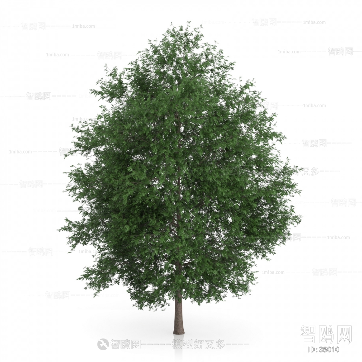 Modern Tree/shrub/grass