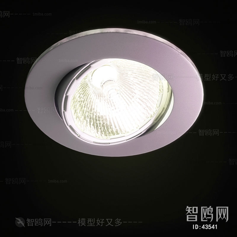 Modern Downlight Spot Light