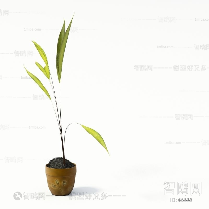 Modern Potted Green Plant