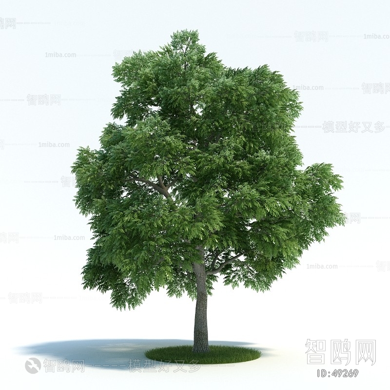 Modern Tree/shrub/grass