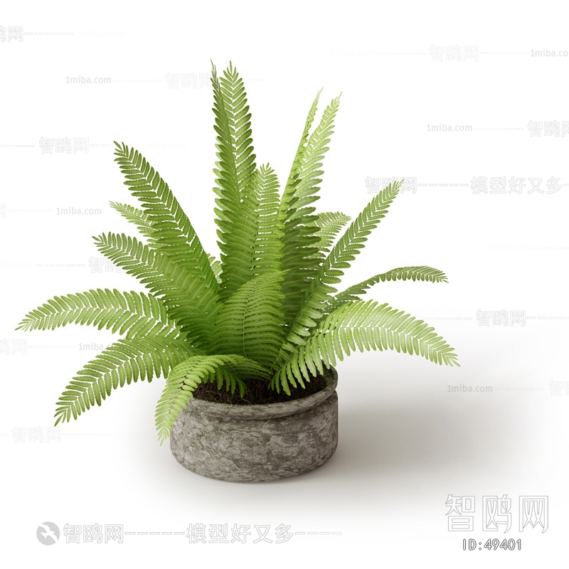 Modern Potted Green Plant