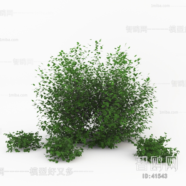 Modern Tree/shrub/grass