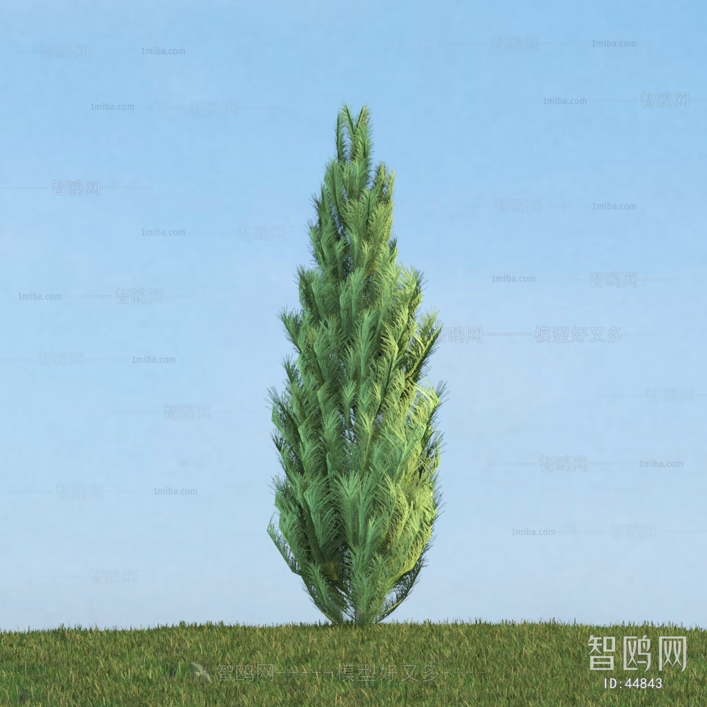 Modern Tree/shrub/grass