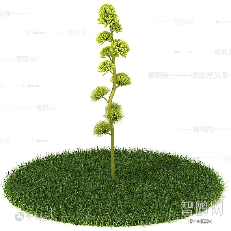 Modern Tree/shrub/grass