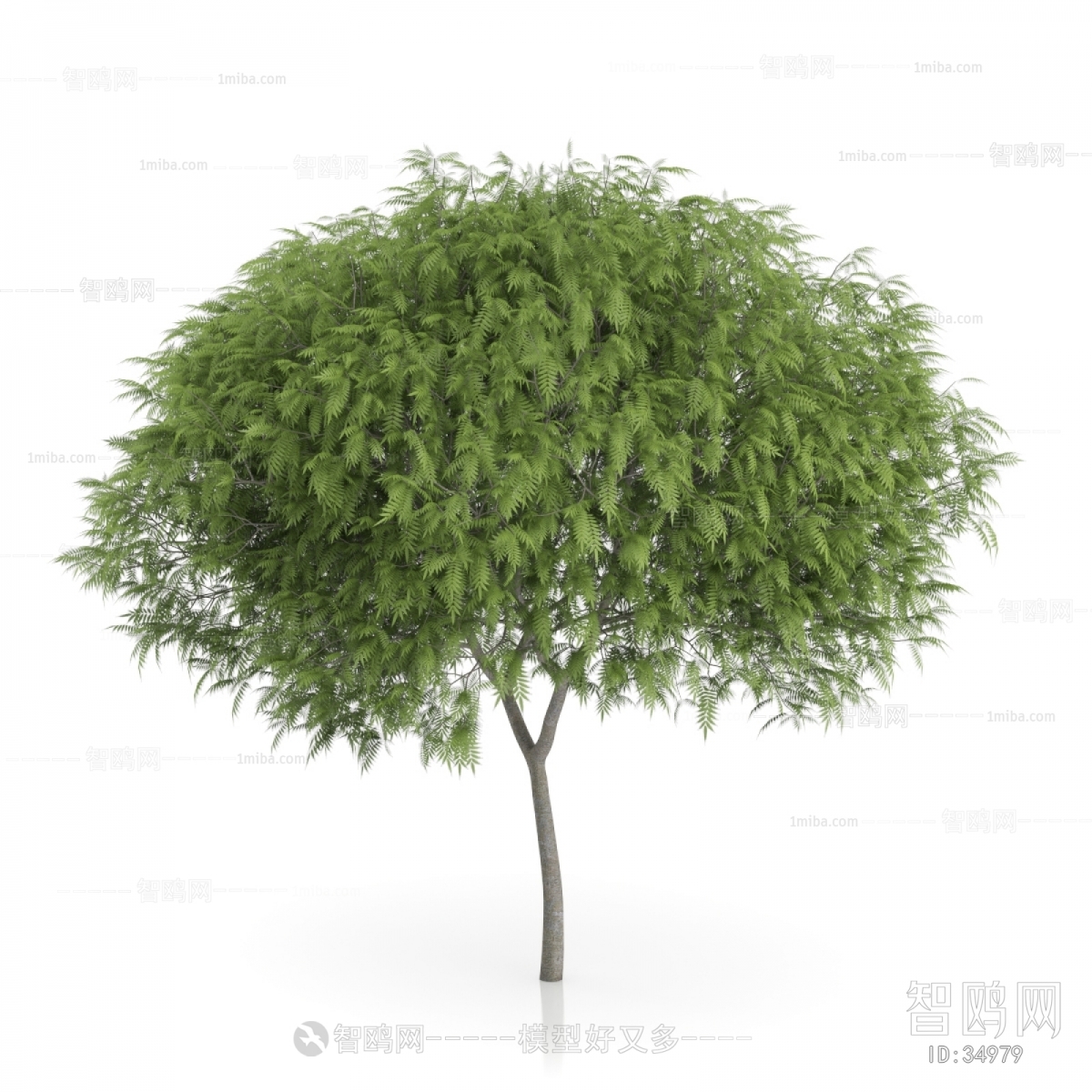 Modern Tree/shrub/grass