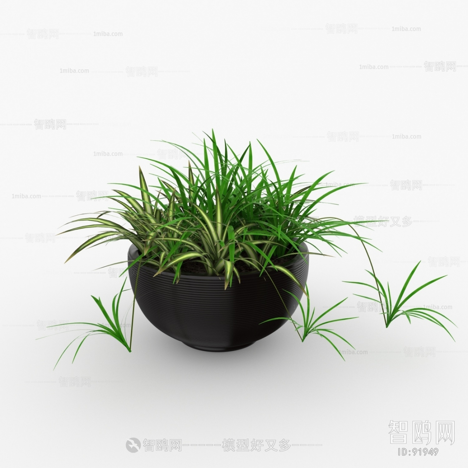 Modern Potted Green Plant