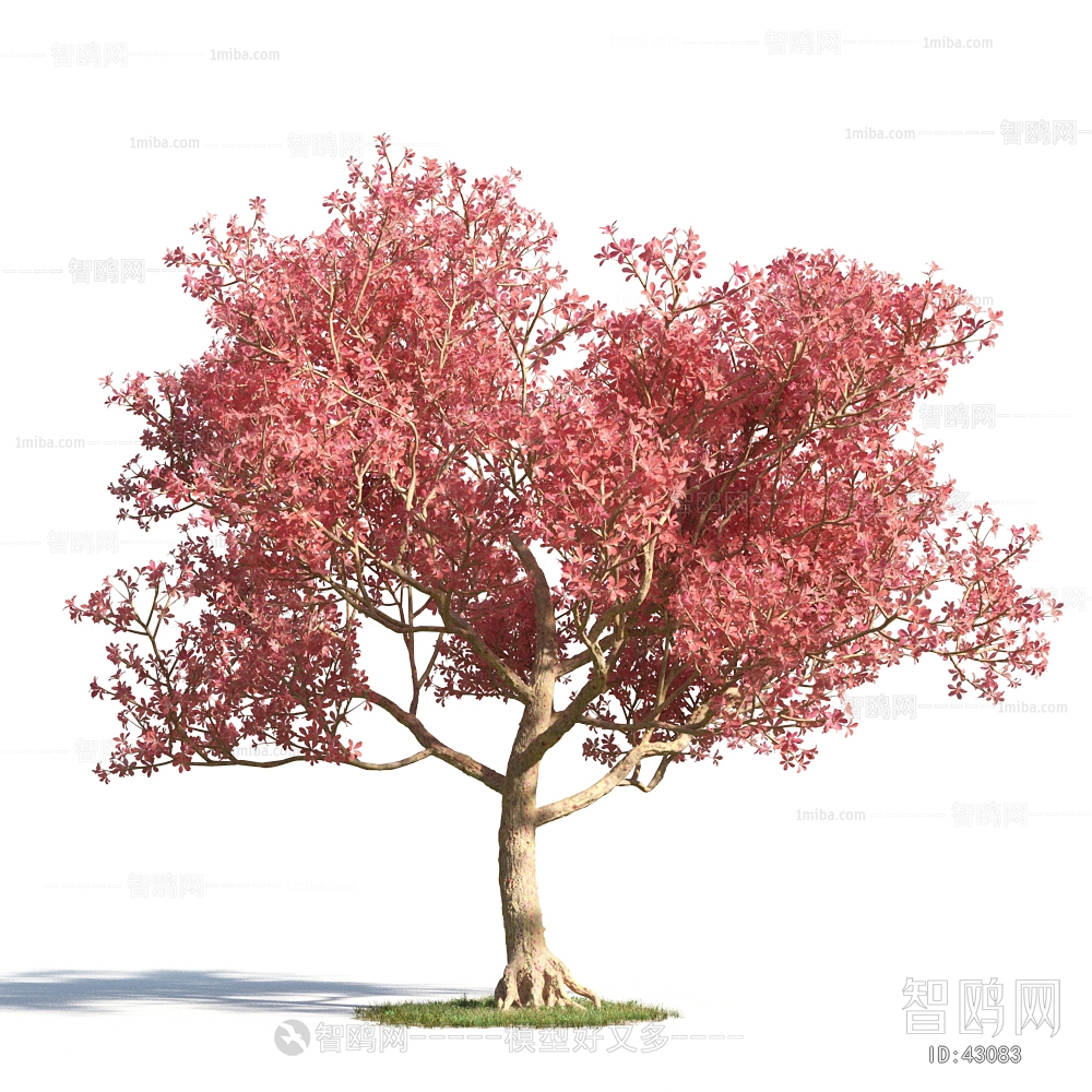 Modern Tree/shrub/grass