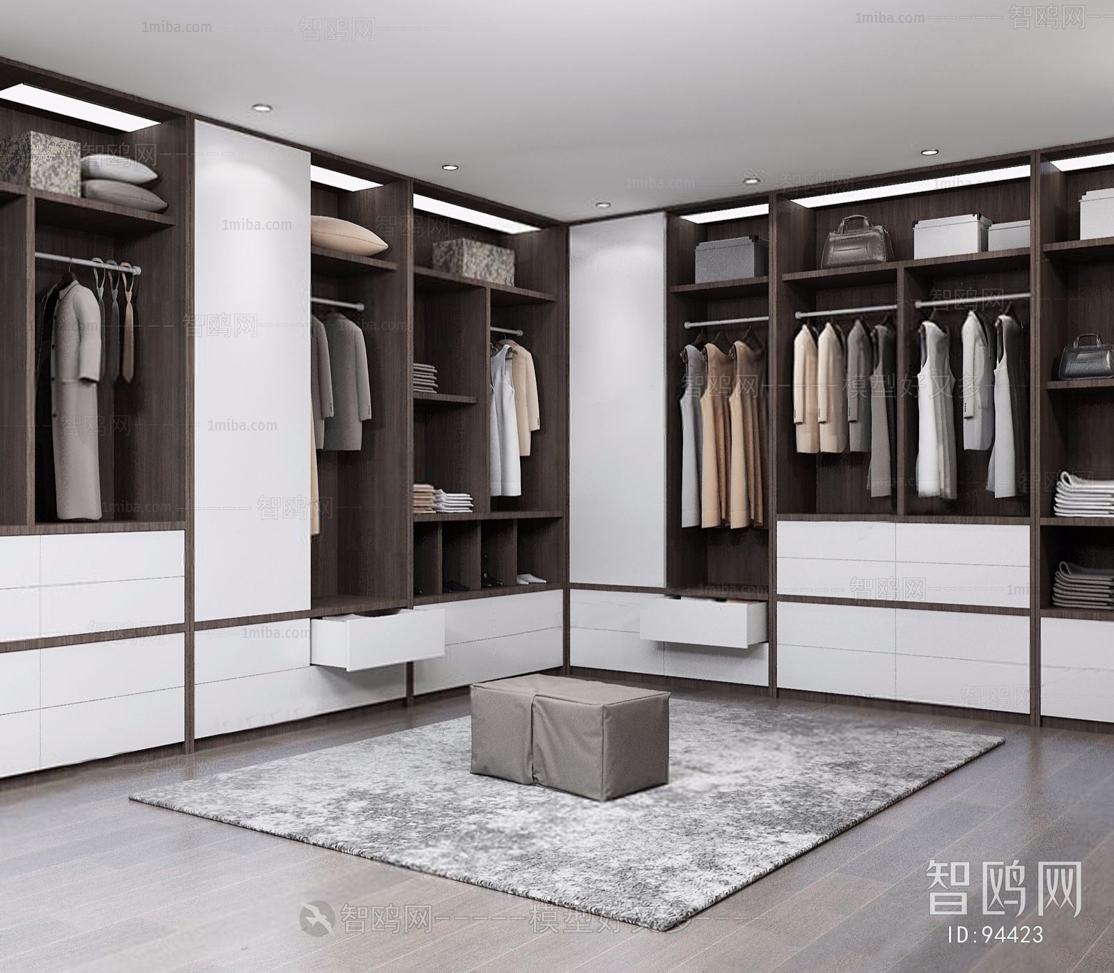 Modern Clothes Storage Area