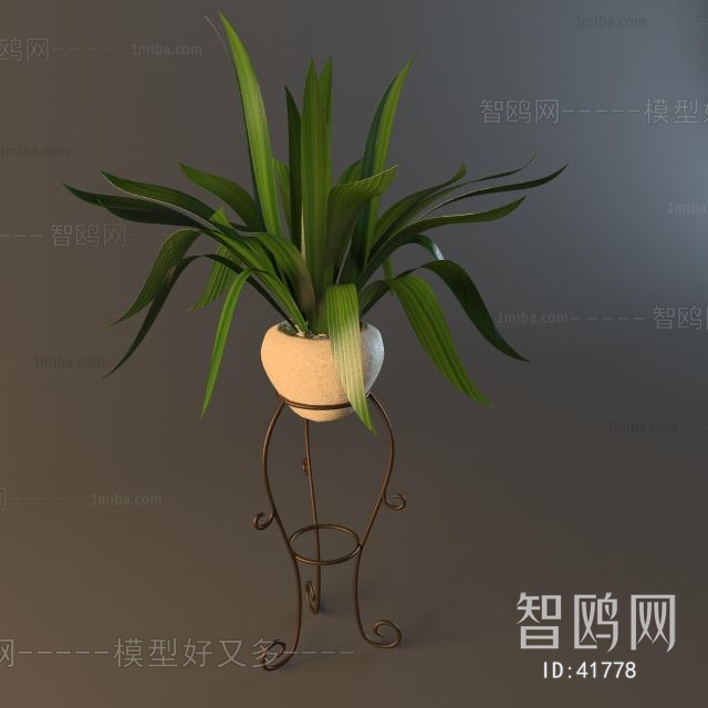 Modern Potted Green Plant