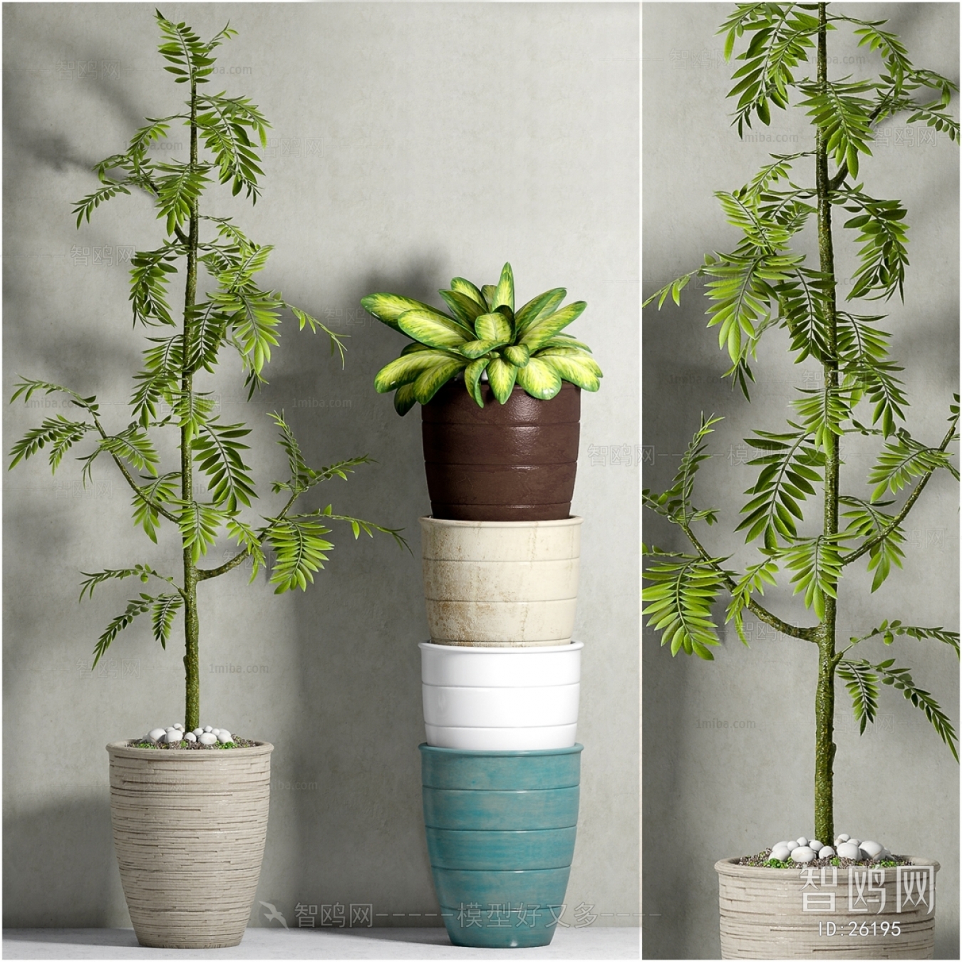Modern Potted Green Plant