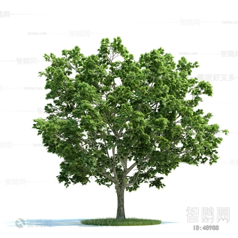 Modern Tree/shrub/grass