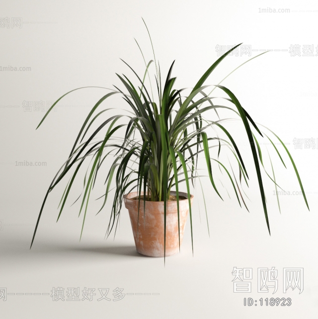 Modern Potted Green Plant