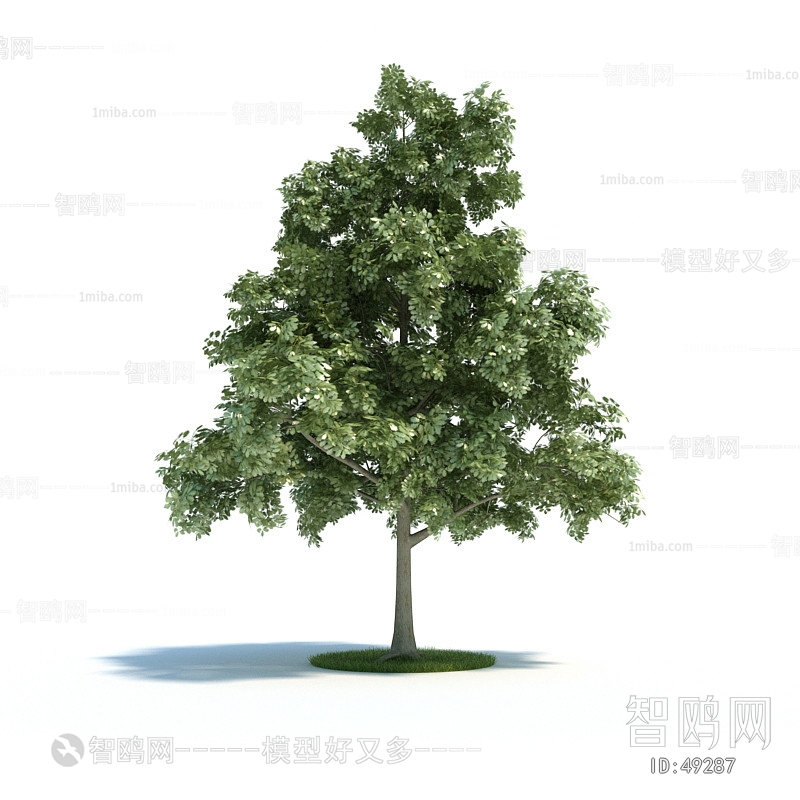 Modern Tree/shrub/grass