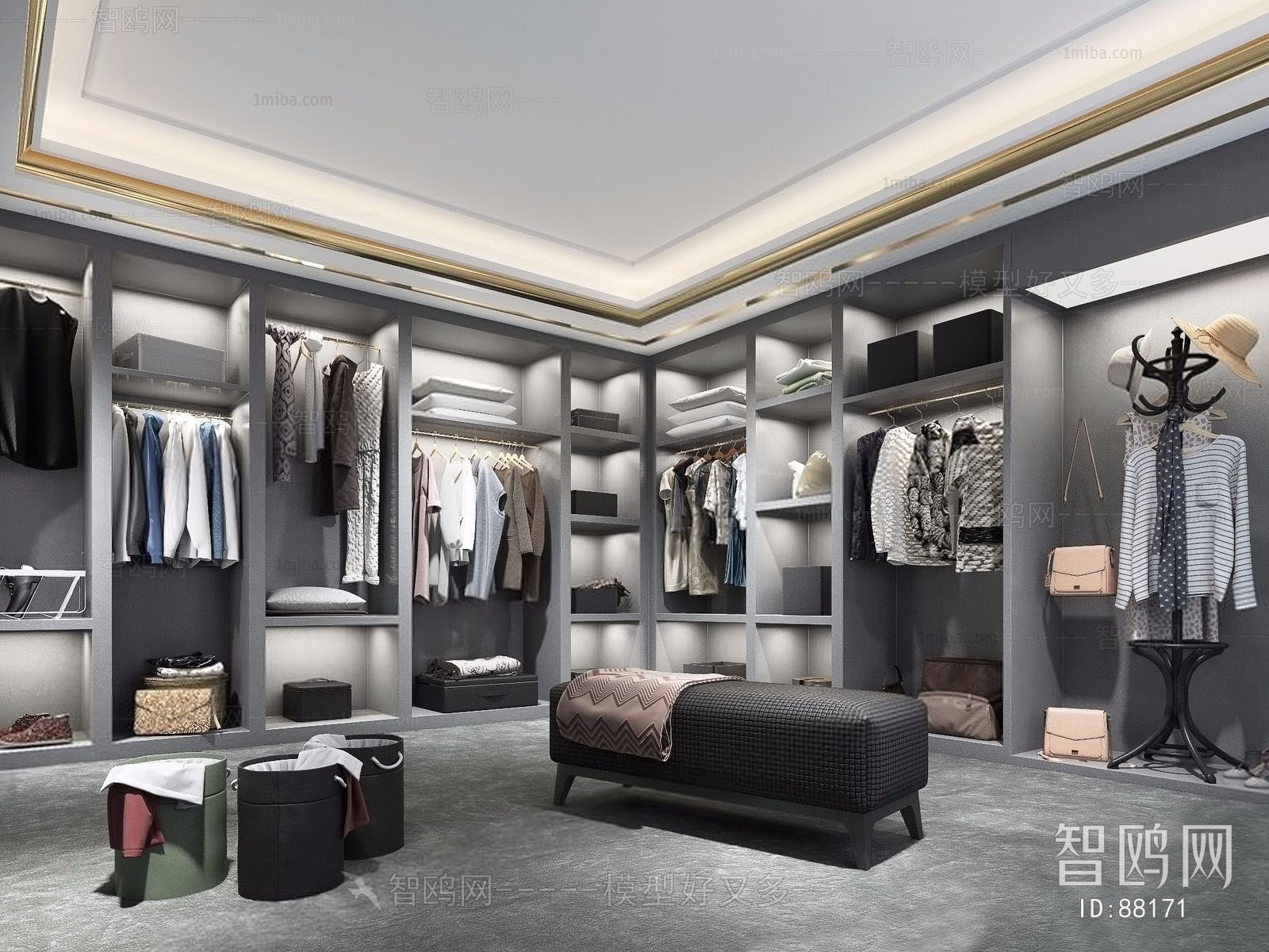 Modern Clothes Storage Area